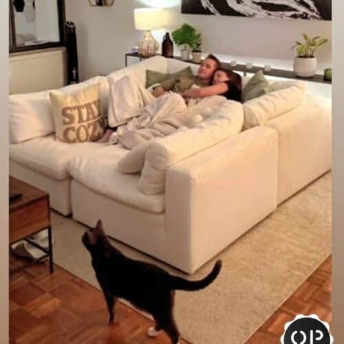 SOFA NUBE - 4 MODULOS - 270 X 1MTR PROF+CAMASTRO 80X80-ENVIO GRATIS A DOMICILIO EN TODO EL PAIS